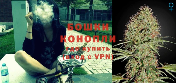 прущие грибы Сковородино