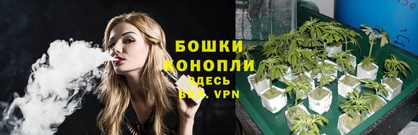 ПСИЛОЦИБИНОВЫЕ ГРИБЫ Ачинск