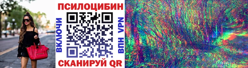 ссылка на мегу ТОР  как найти закладки  Барыш  Галлюциногенные грибы Psilocybe 